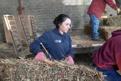 Carroll County Extension Agent Ashley Edwards helps unload donated hay bales at a hay donation event organized by agents for farmers affected by Hurricane Helene. Photo by Marya Barlow for Virginia Tech.